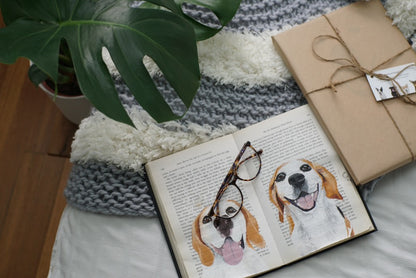 Pet Portrait (Book)