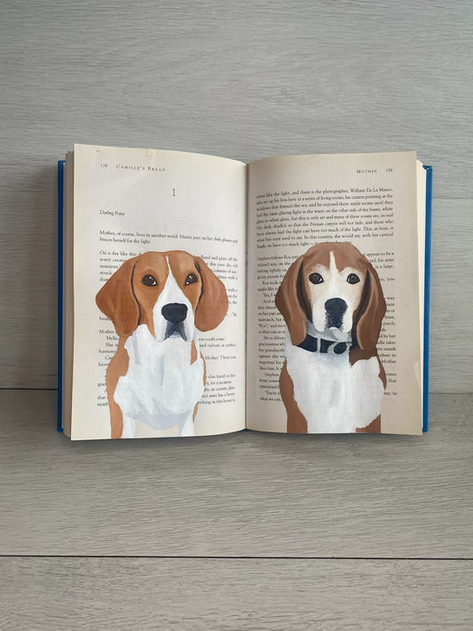 Pet Portrait (Book)