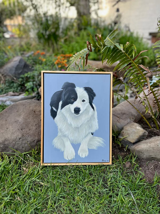 Pet Portrait 12x16 inch (Framed Canvas)