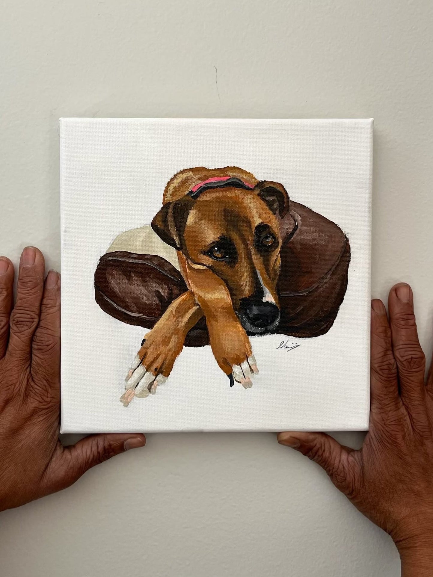 Pet Portrait 20x20cm (Canvas)